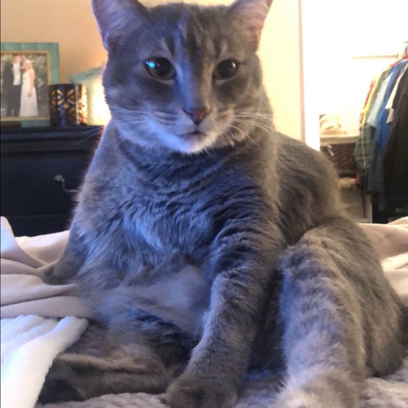 β’ meet the assistants β’ - Picture 9 of 15